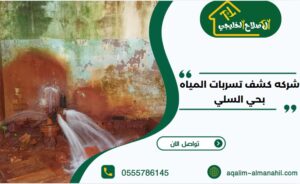 شركه كشف تسربات المياه بحي السلي