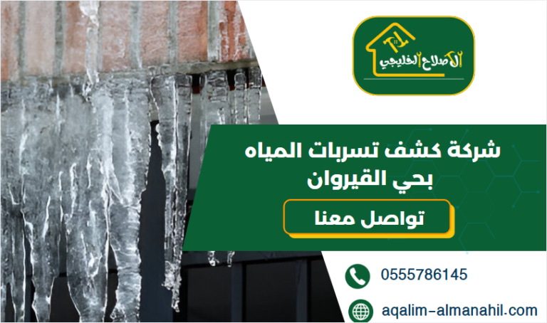 شركة كشف تسربات المياه بحي القيروان