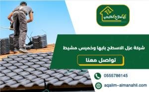 شركة عزل الاسطح بابها وخميس مشيط
