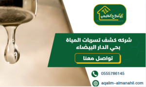 شركه كشف تسربات المياة بحي الدار البيضاء