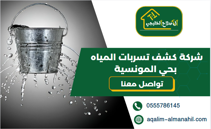 شركة كشف تسربات المياه بحي المونسية
